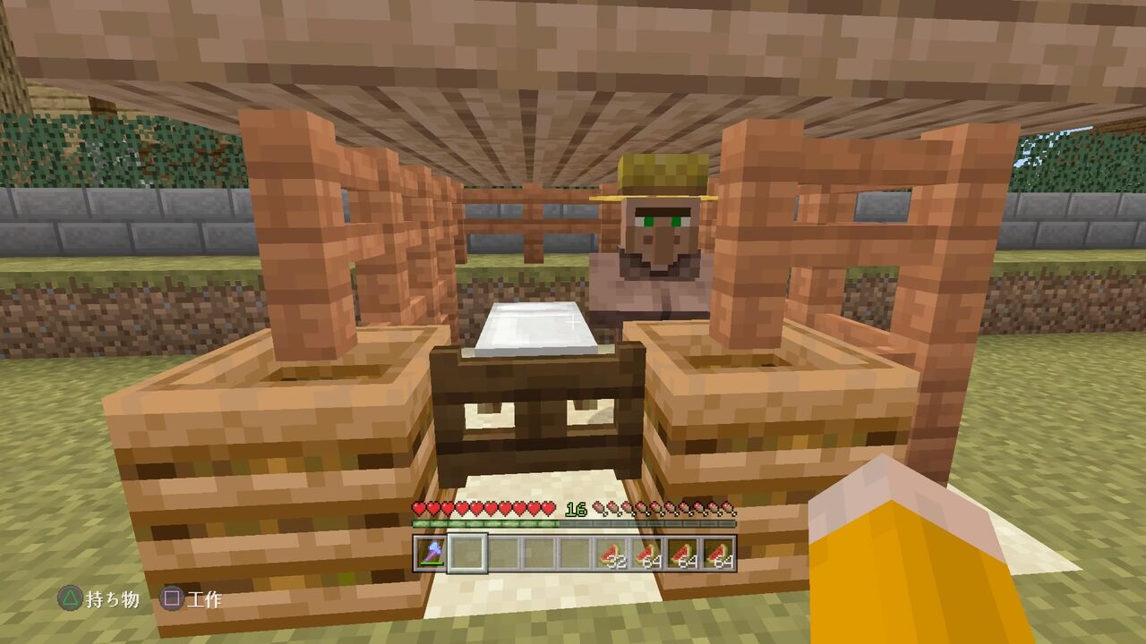 農民の為に一軒家を建てる マインクラフトplaystation4 Editionを楽しむ
