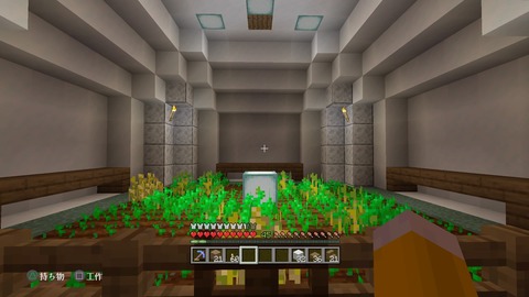 Minecraft_20210111000818