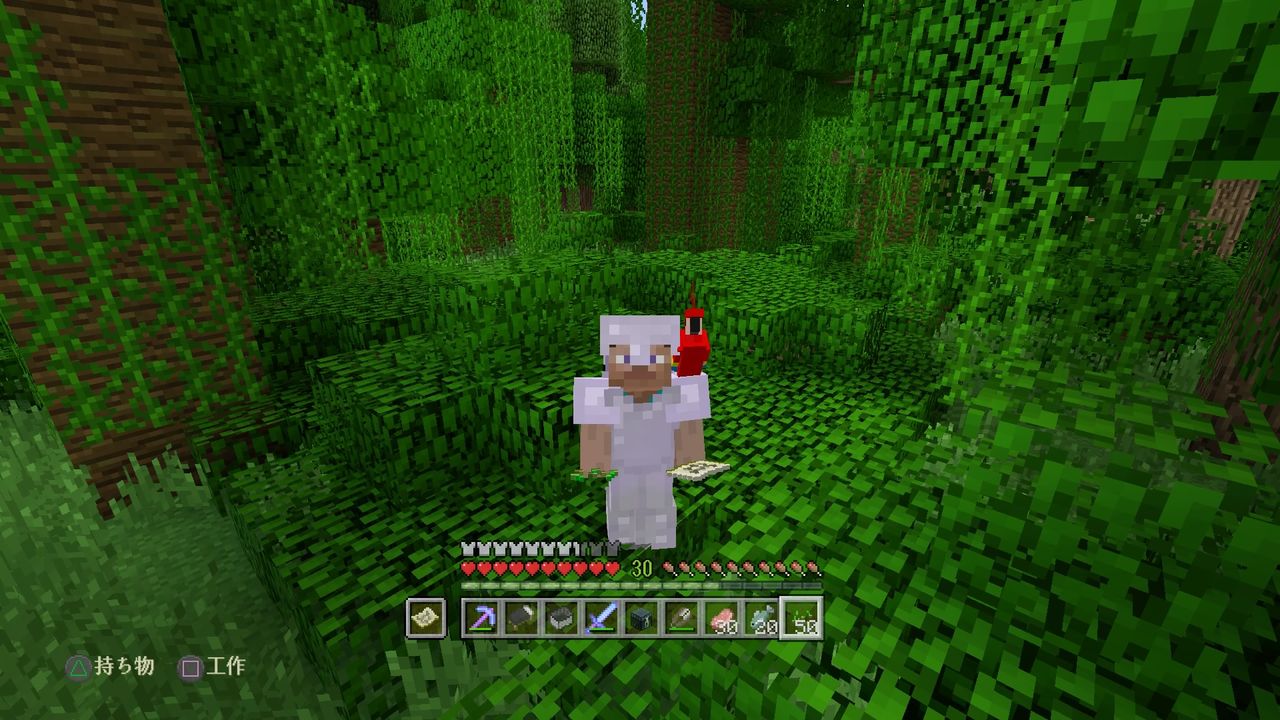 ヤマネコとオウムを求めてジャングルへ向かう マインクラフトplaystation4 Editionを楽しむ