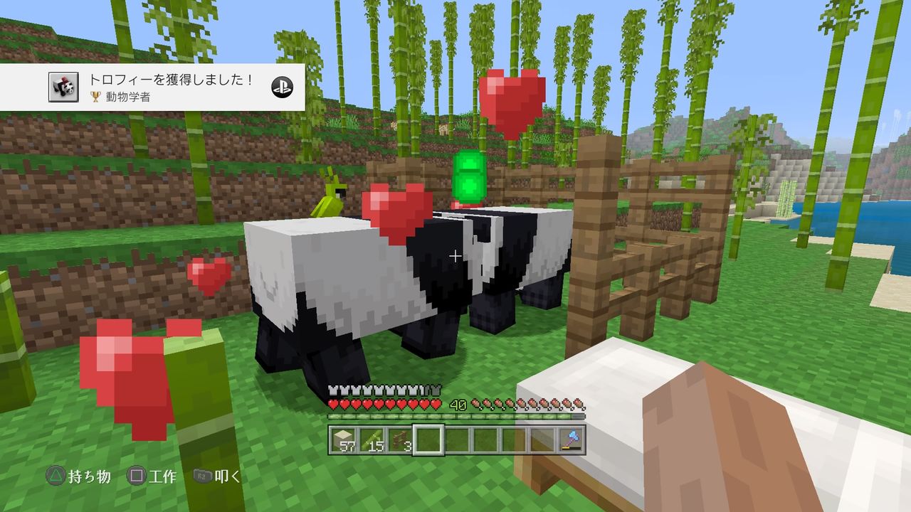 スティーブパンダに出会う マインクラフトplaystation4 Editionを楽しむ スティーブパンダに出会う マインクラフトplaystation4 Editionを楽しむ