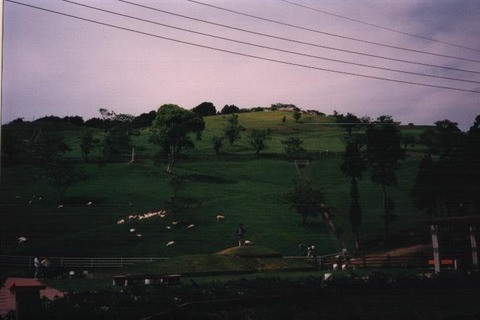 mineoka-002