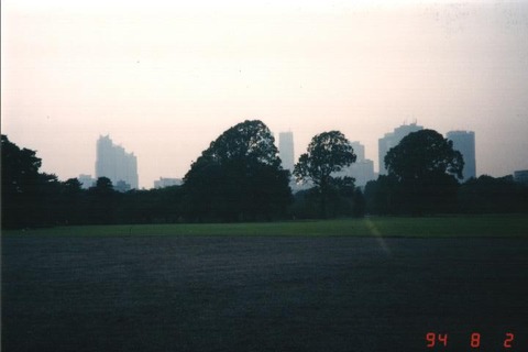 sinjyukuku-020