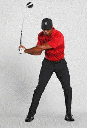 tiger_down