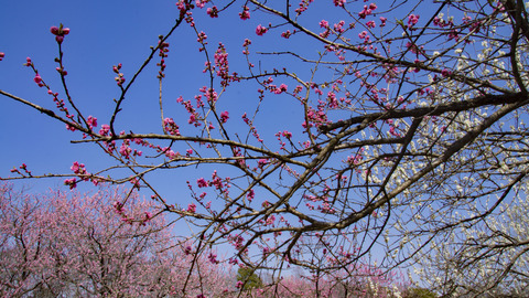 編集済み_DSC04767