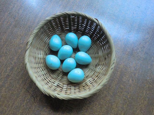 ムクドリの巣 コスモスブログ
