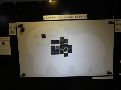 撮影OK3