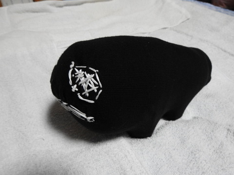DSCN1177