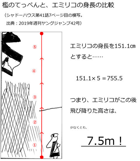 生まれついての 丈夫 な娘 来客のない奇妙な館 シャドーハウス考察ブログ 生まれついての 丈夫 な娘 来客のない奇妙な館 シャドーハウス考察ブログ