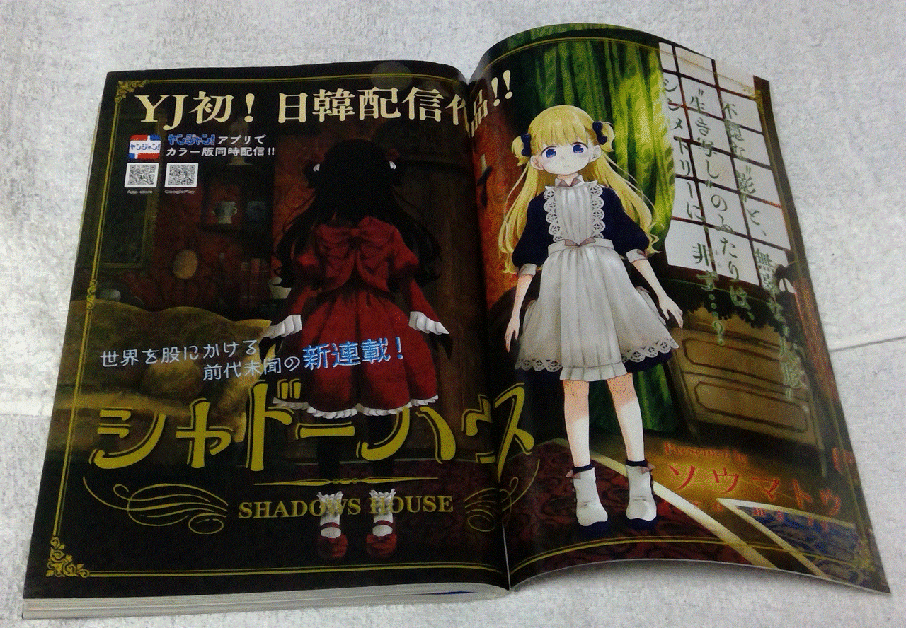 祝 連載二周年記念日 来客のない奇妙な館 シャドーハウス考察ブログ