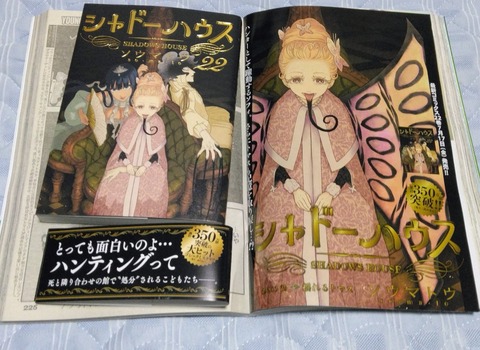 22巻、センターカラー
