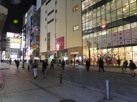 DSCN3446
