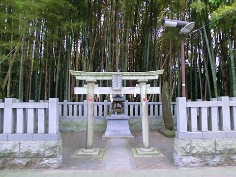藪知らず