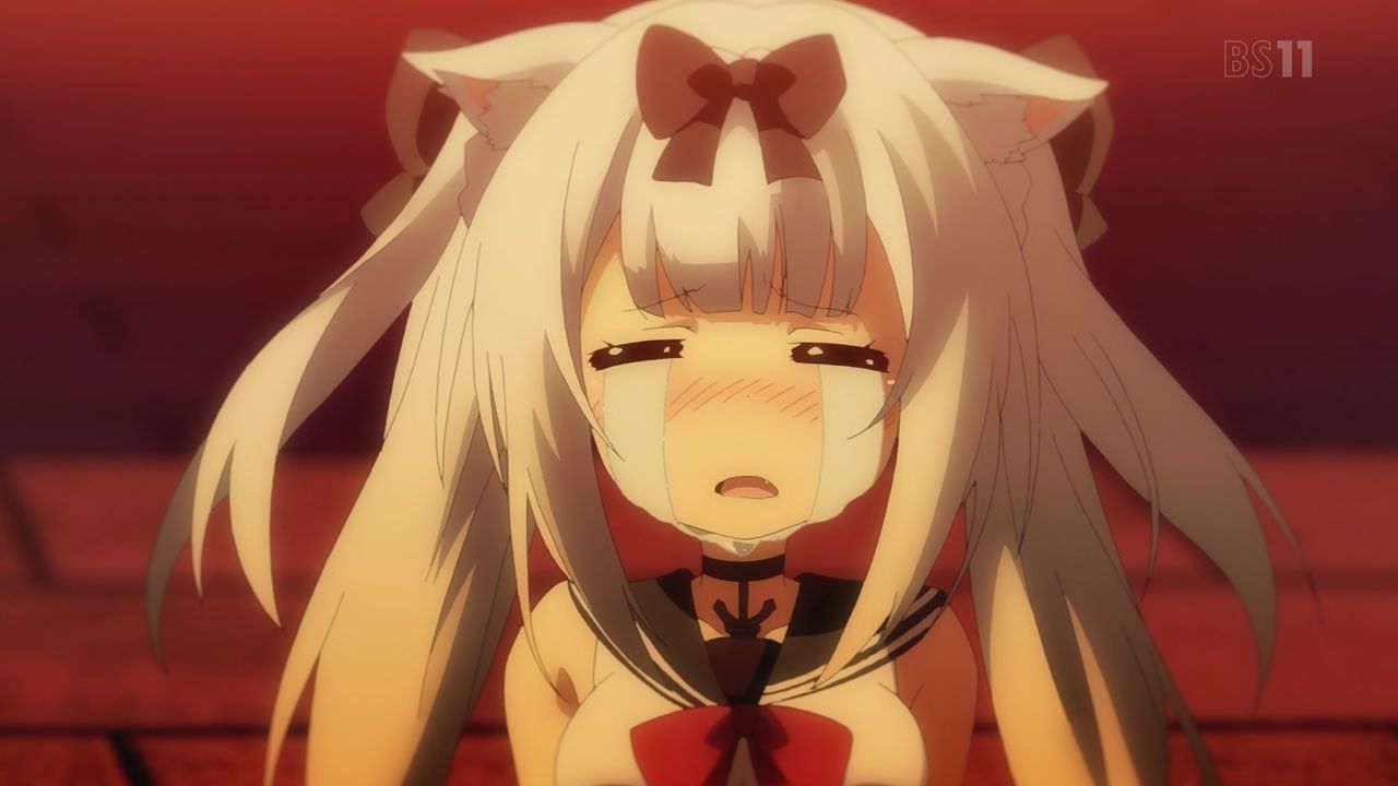 アズールレーン 雪風様がネコかイヌか俺が決めることにするよ アズールレーン速報 アズレンあんてな アズールレーン攻略情報まとめアンテナ速報 アズールレーン 雪風様がネコかイヌか俺が決めることにするよ アズールレーン速報 アズレンあんてな アズールレーン攻略情報まとめアンテナ速報