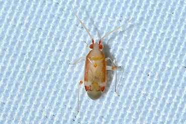 ���̥��ҥ��������ߥ���20250712b