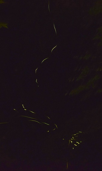 ¥Û¥¿¥ë20220619b