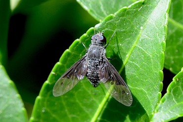 ������ĥꥢ��20250719