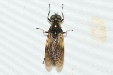 ���ߥ�����20251023D1