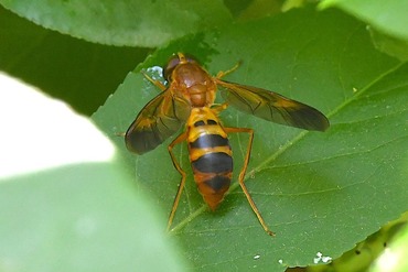 ����������������20240517a