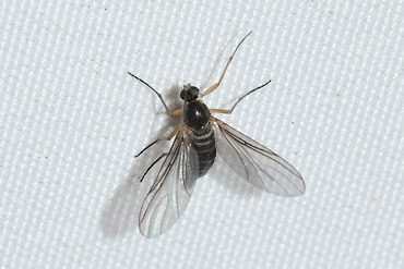 ���Υ��Х��ΰ��20250901