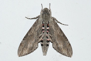 ���ӥ��饹����20250922