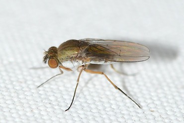 �ߥ���Х��ΰ��L20250924