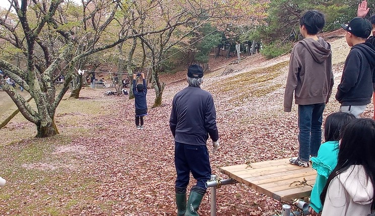 桜まつりでジップライン