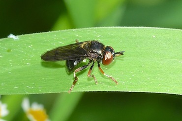 �ҥ��ꥤ�����ꥹ����20250628