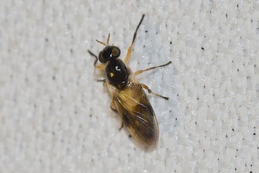 Ĵ����20200527