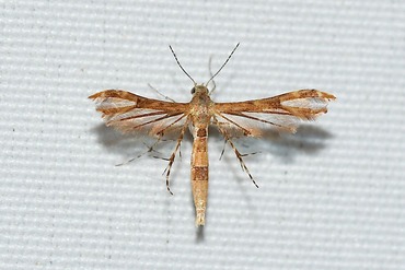 ���֥ɥ��ȥ��20250915