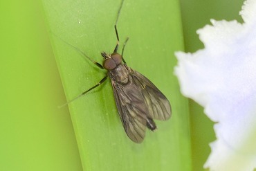 �������֤ΰ��20190514