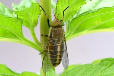 ����������20230608a