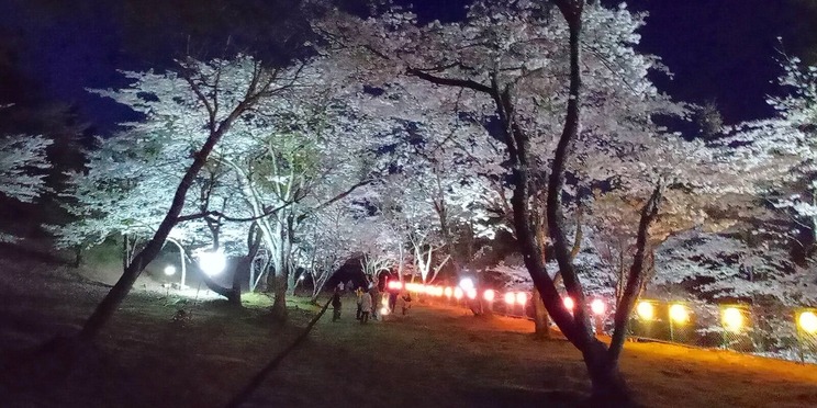ライトアップ20230401
