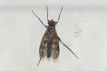 �������֤ΰ��20240510