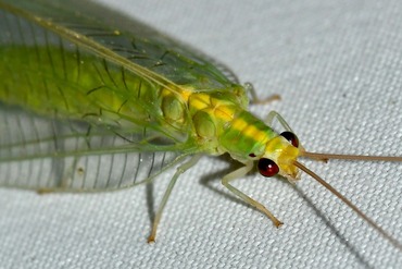 ����������������20250930