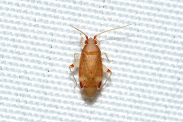 ���̥��ҥ��������ߥ���20250715