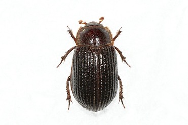 ���֥ʥ����֥���������20250725W