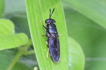 ����ꥫ�ߥ�����20220730