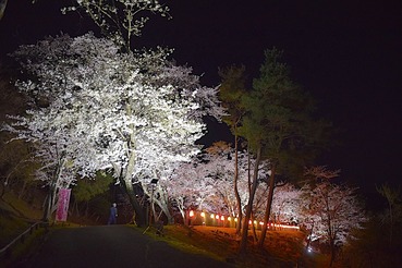 ライトアップかみなり山入口