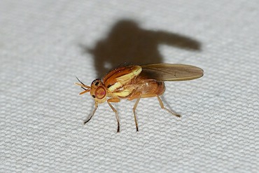 ���ޥХ��ΰ��L20251030