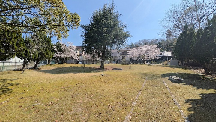 PXL_20260403_044140122