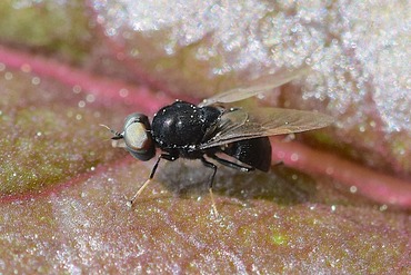 �ߥ����֤ΰ��20230508a