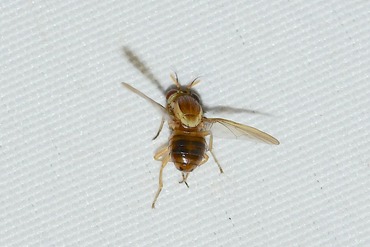 ���ޥХ��ΰ��P20251030