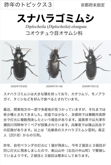 ���ʥϥ饴�ߥॷ