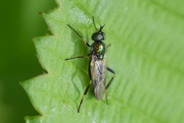 �����ۥ����ߥ�����20240426