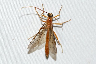 ����Х��ΰ��20250820