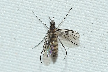 ���ťᥫ�ΰ��20250629