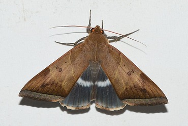 �ĥ��說����20250924