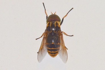 ������������20210705