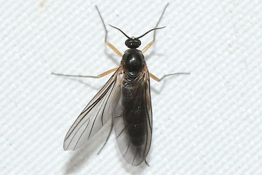 �������Υ��Х��ΰ��20250822