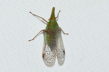 �ƥ󥰥�����20250901